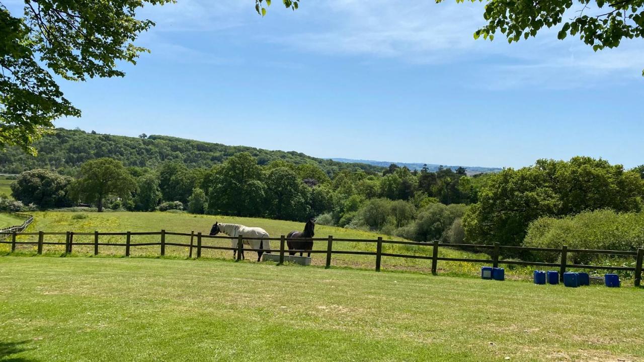 Conkers Lodge For 6 With Hot Tub & Secluded Decking - Spa Resort In Devon Chudleigh المظهر الخارجي الصورة